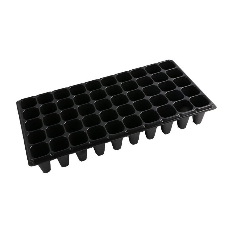 H005 50 Cells Deep Extra Large seed tray(for tree seeds)