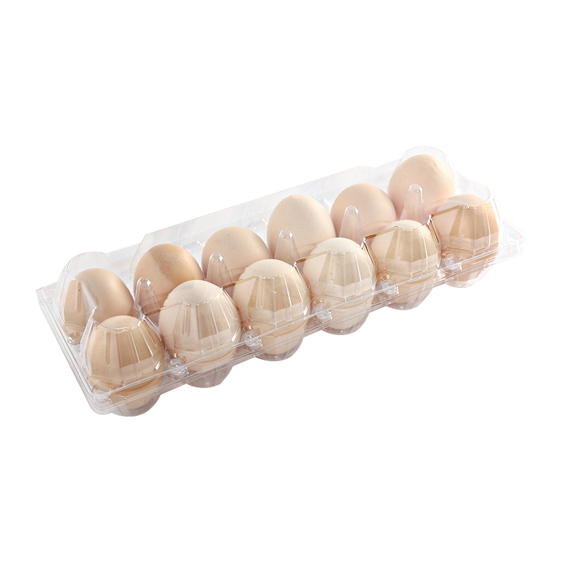 Egg tray 12 cells(2*6)