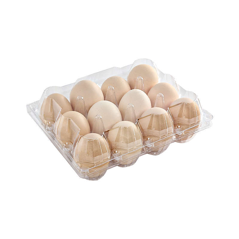 Egg tray 12 cells(3*4)