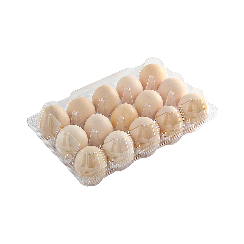Egg tray 15 cells(3*5)